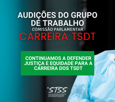 Audições do Grupo de Trabalho na Comissão Paralamentar - Carreira TSDT